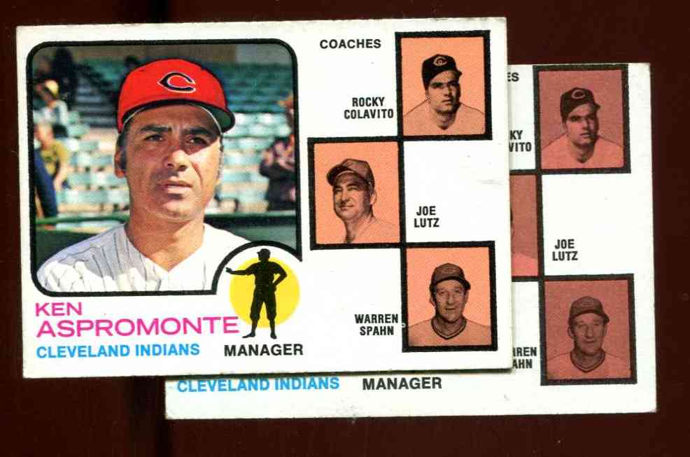 Jose Cruz #292 Topps 1973 Baseball Card (St Louis Cardinals) VG