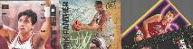 Toni Kukoc  *** COLLECTION *** - Lot of (26) Different