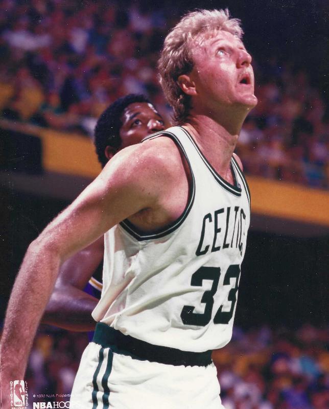 Larry Bird -  1990 Hoops 8x10 GLOSSY PHOTO - Lot of (6) Basketball cards value